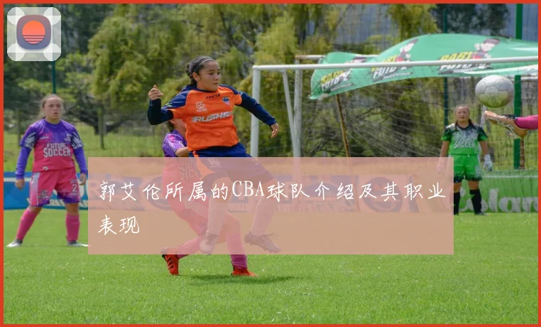 郭艾伦所属的CBA球队介绍及其职业表现