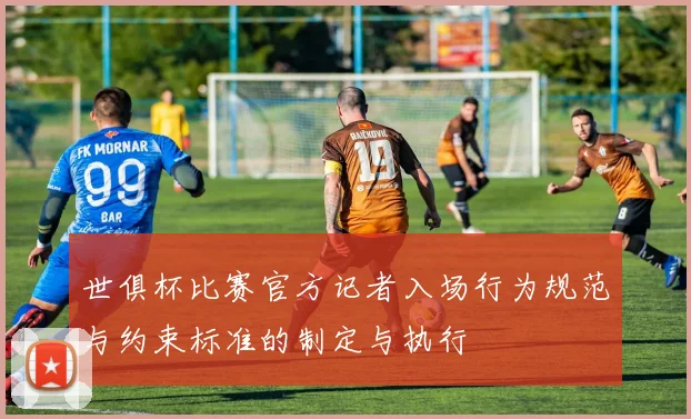 世俱杯比赛官方记者入场行为规范与约束标准的制定与执行