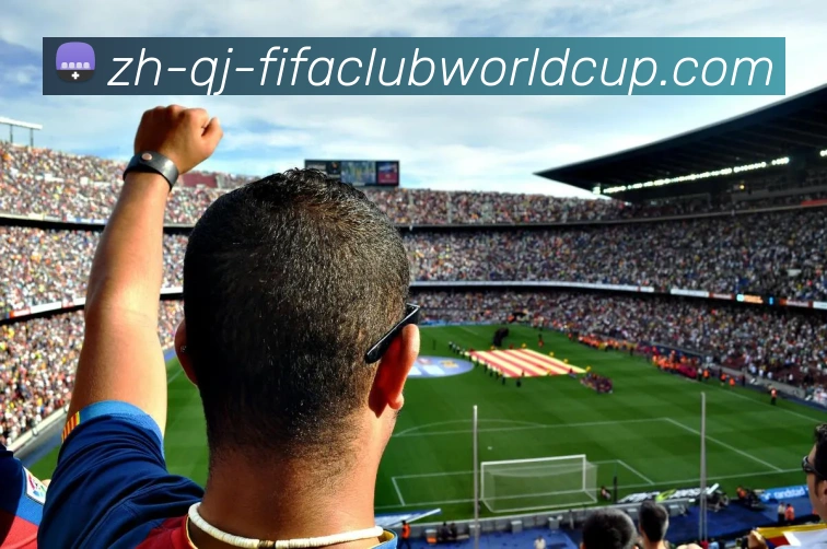 世界杯赛程服务体系